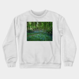 Bluebell Forest, East Sussex Crewneck Sweatshirt